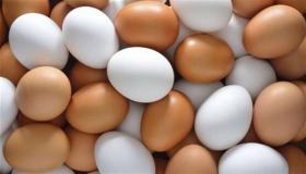 Најважније 50 тумачење куповине јаја у сну од Ибн Сирина
