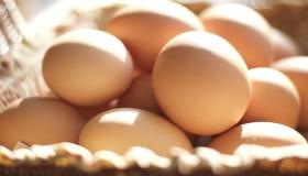 Lär dig mer om tolkningen av att se ägg i en dröm av Ibn Sirin