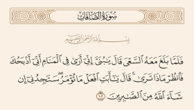 Interpretacja Surat Al-Safat we śnie przez Ibn Sirin i Ibn Shaheen
