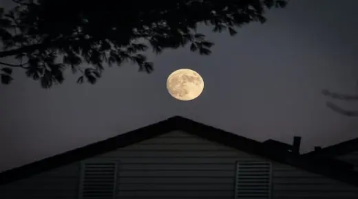 イブン・シリンによる独身女性の夢の中で月を見ることの最も重要な80の解釈