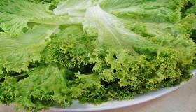 Naučite 40 najvažnijih tumačenja viđenja zelene salate u snu od Ibn Sirina