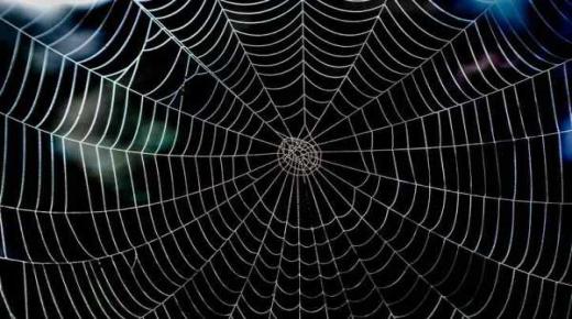 Tafsir jaring laba-laba dalam mimpi oleh Ibnu Sirin