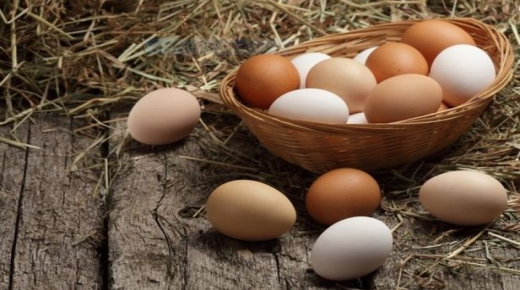 كل ما تبحث عنه لتفسير حلم البيضة في المنام لابن سيرين وتفسير حلم البيضة النية وتفسير حلم البيضة الملونة في المنام  وما هو تفسير حلم البيضة المسلوقة