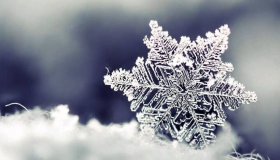 100 הפירוש החשוב ביותר לחלום השלג בחלום מאת אבן סירין, פירוש החלום על ירידת השלג, פירוש חלום השלג היורד מהשמיים והפשרת השלג בחלום