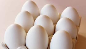 ابن سیرین کے بہت سے انڈوں کے خواب کی سب سے اہم 20 تعبیر