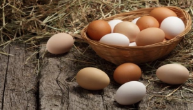 Дознајте за толкувањето на сонот за јајца од сите видови од Ибн Сирин