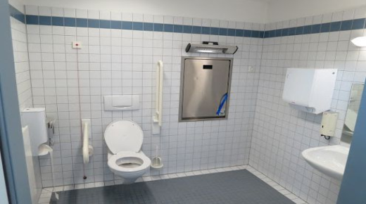 इब्न सिरिन द्वारा सपने में शौचालय देखने की सबसे महत्वपूर्ण 50 व्याख्या