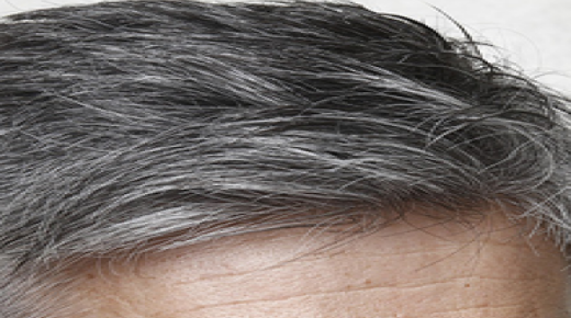 למד על הפרשנות של שיער אפור בחלום על פי אבן סירין
