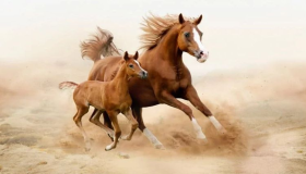 इब्न सिरिन द्वारा सपने में घोड़ी देखने की 30 से अधिक व्याख्याएं