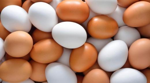 פירוש חלום ליקוט ביצים מאת אבן סירין, פירוש חלום איסוף ביצים מתחת לתרנגולת ופירוש חלום איסוף ביצים רבות.