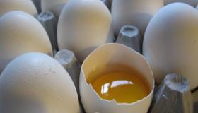 इब्न सिरिन द्वारा सपने में कच्चे अंडे देखने की क्या व्याख्या है?