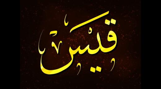משמעות השם קאיס בשפה הערבית ובפסיכולוגיה
