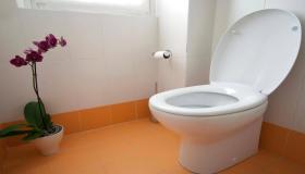 Wat is die interpretasie van Ibn Sirin se droom om in die toilet te val?