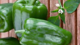 Alles wat u moet weten over het zien van groene paprika's in een droom