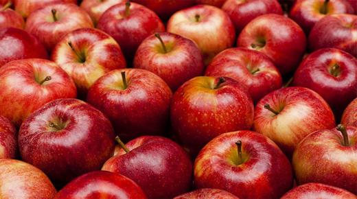 Kakvo je tumačenje sna o jabukama u snu od Ibn Sirina?