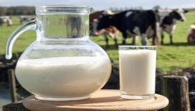 Õppige unenäos piima nägemise 60 kõige olulisemat tõlgendust