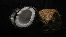 इब्न सिरिन द्वारा सपने में नारियल देखने की 30 से अधिक व्याख्याएँ