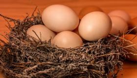 Saznajte više o tumačenju snova o skupljanju jaja u snu od Ibn Sirina