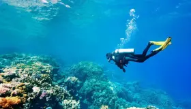 De 20 viktigste tolkningene av å se dykking i en drøm av Ibn Sirin