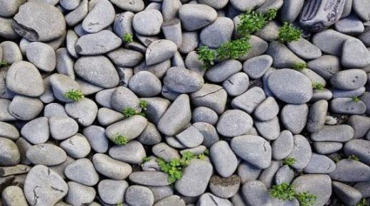 इब्न सिरिन के अनुसार पत्थर के बारे में सपने की व्याख्या के बारे में जानें